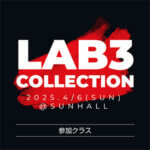 LAB3 COLLECTION 2025